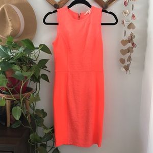 Rachel Roy Bright Pink Dress